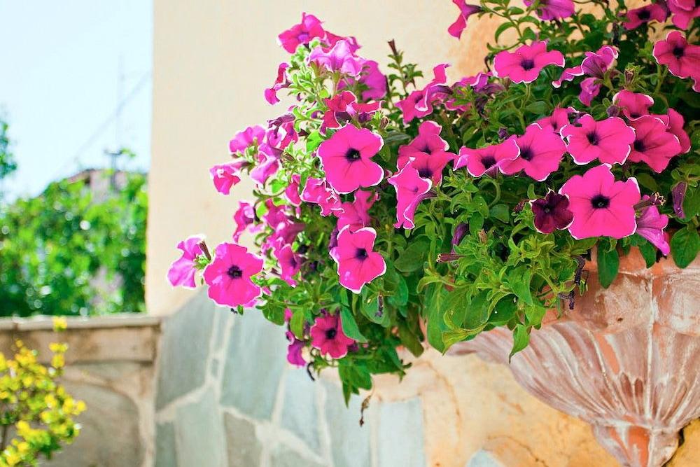 Thymis Home Skiathos Exterior foto