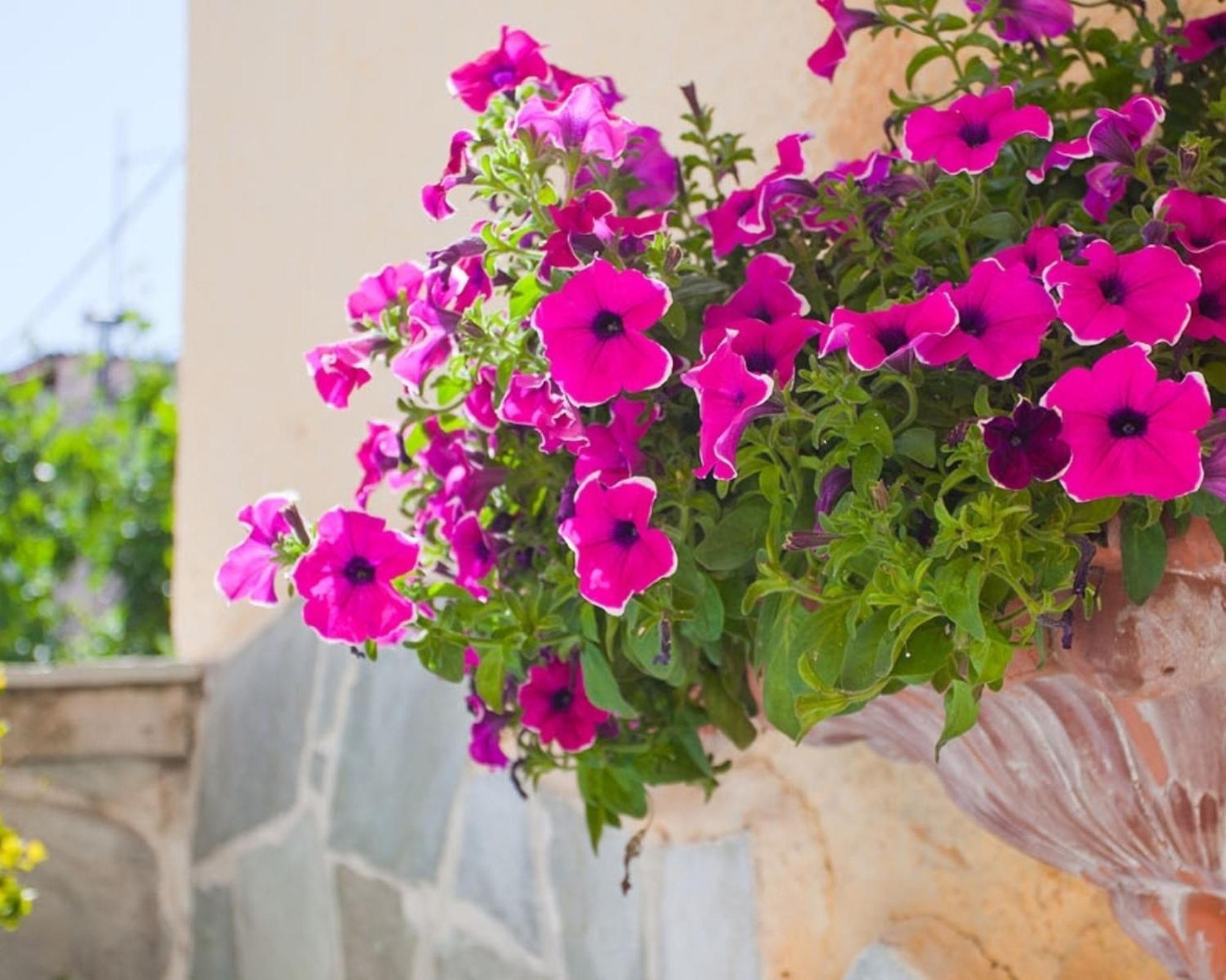 Thymis Home Skiathos Exterior foto